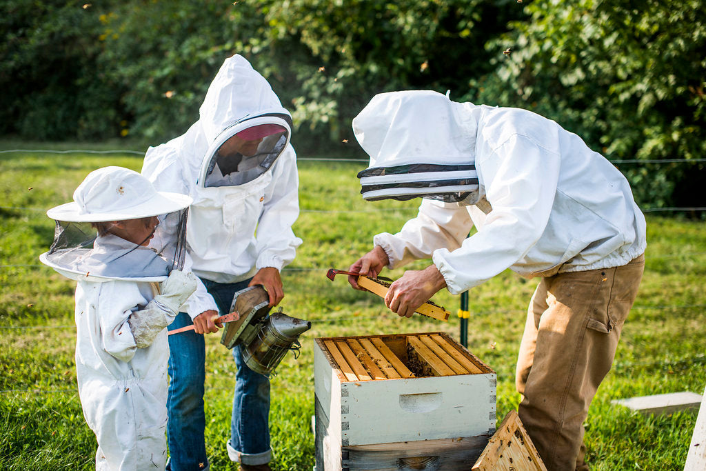 Late Spring Beekeeping in Western North Carolina: Splits, Swarm Prevention & Setting Up for Summer Success