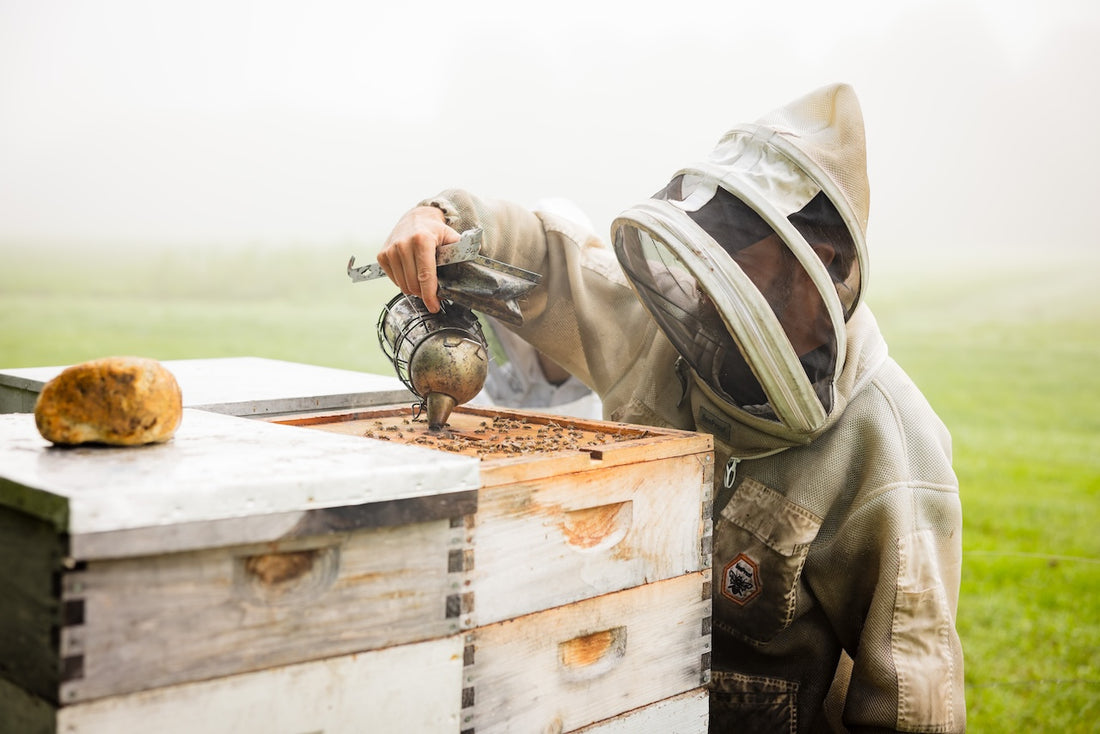 Scheduled Beekeeping Tours
