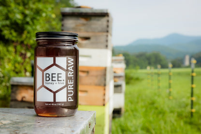 Wildflower Honey 48oz