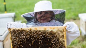 family beekeepers