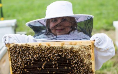 Welcome to our new Beekeeping Website!