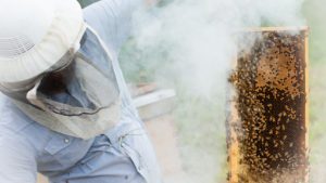 beekeeper and frame