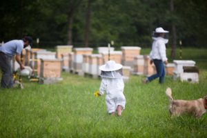 family at bee hives