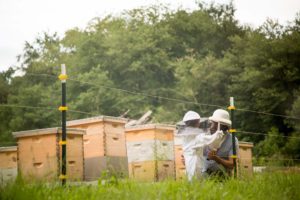 beekeeper family at hives