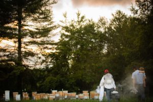 beekeepers at hive