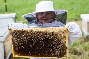 beekeeper family